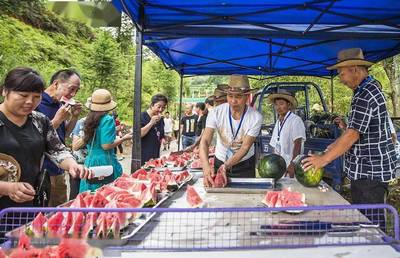 鞋帽零售領(lǐng)跑，我市社會消費品零售總額增速榮登全省榜首