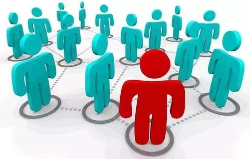 構建堅實的品牌基石 一份完整品牌策劃方案的核心內容與品牌管理要義